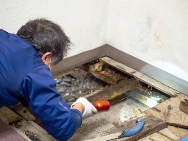 Best Mold Testing  in Garden Acres, CA