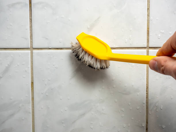 Best Commercial Mold Removal  in Garden Acres, CA
