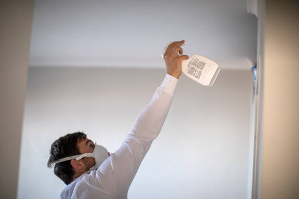 Best Attic Mold Removal  in Garden Acres, CA