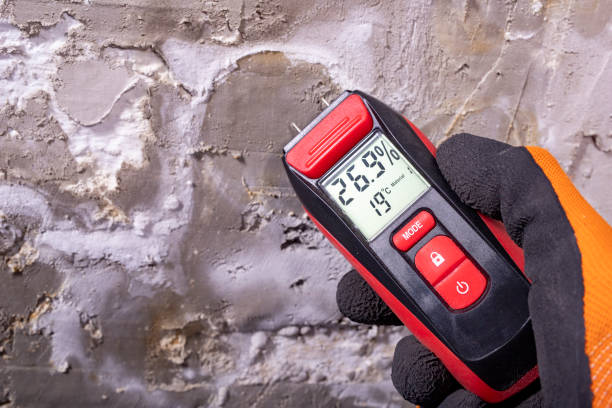 Best Mold Testing and Removal  in Garden Acres, CA