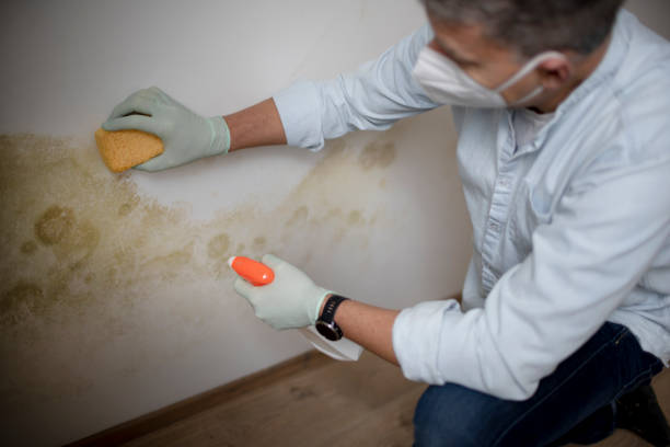 Best Crawl Space Mold Removal  in Garden Acres, CA