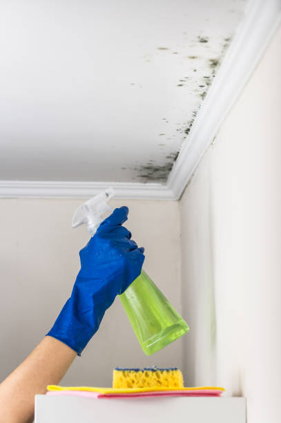 Best Mold Testing  in Garden Acres, CA